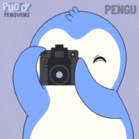 Penguin Smile GIF by Pudgy Penguins