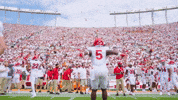 Ru GIF by Rutgers Football