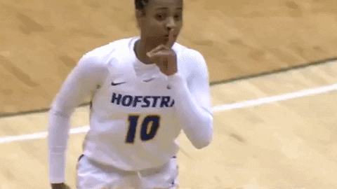 Hofstrawbb GIF by Hofstra Pride