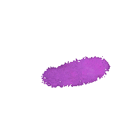 Dream Sticker