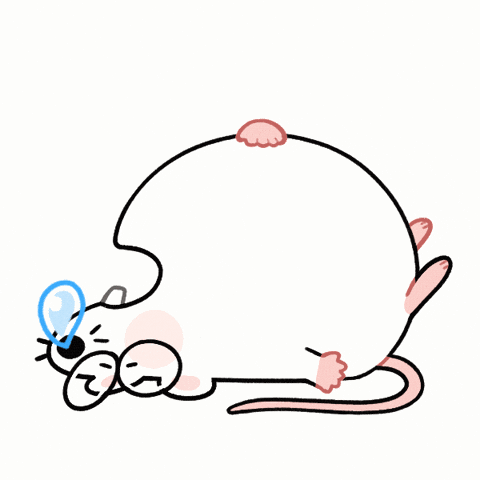 DoctorCorio giphyupload cute sleep mouse GIF