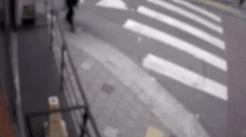 bongjunjeong giphyupload GIF