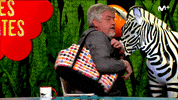 Compra Ilustres Ignorantes GIF by Movistar+