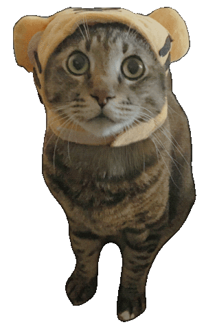 あけましておめでとう New Year Sticker