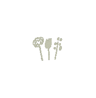 Flower 花 Sticker