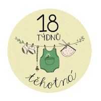 Girl Im Pregnant Sticker