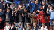 GIF by FOX Sports