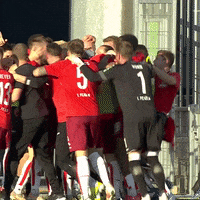 1 Fc Cologne Football GIF by 1. FC Köln