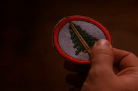 season 2 GIF by Twin Peaks on Showtime