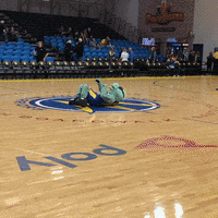 Basketball Turtle GIF by Santa Cruz Warriors
