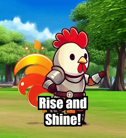 Rise And Shine Fitness GIF by Zorooster