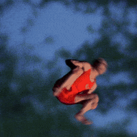 Flight Of The Navigator Dog GIF by Rodney Dangerfield