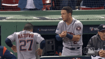 Houston Astros Sport GIF by MLB