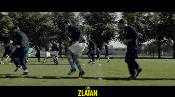 Manchester United Zlatan GIF by Signature Entertainment