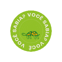 Voce Sabia Besouro Sticker by afabula