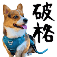 Corgi Wow Sticker