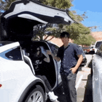 keidilexer tesla gentleman kdlex keidilexer GIF