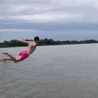 Pink Flying GIF