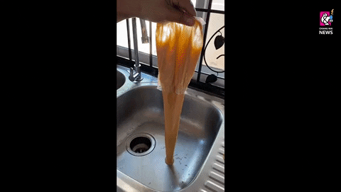 rmutphysics giphyupload GIF