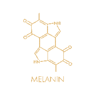Chemical Structure Sticker by EUMELANIN