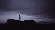 GIF by Eden