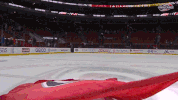 hockey nhl GIF by Carolina Hurricanes