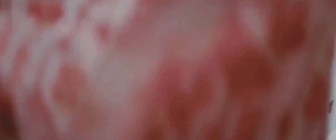 GIF by Ingrid Andress