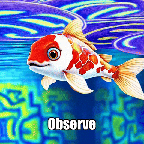 Wisdom Observe GIF by TheConfishius