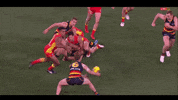 afl gibbs GIF by Adelaide Crows