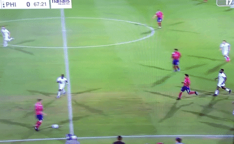 gibbonscm giphyupload GIF