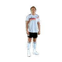 germany peter Sticker by DFB-Teams
