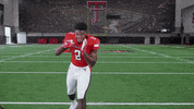 Brandon Bouyer-Randle GIF by Texas Tech Football