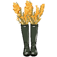 Fall Season Illustration Sticker