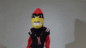 Happy Birthday Dancing GIF by Ball State University
