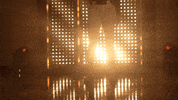 Florida State Softball GIF by NCAA Championships