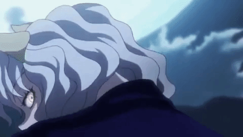 gon hunter x hunter GIF