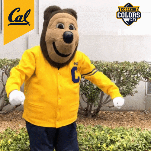 College Sports Cal GIF by College Colors Day