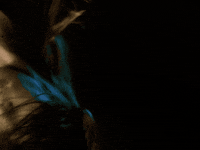 Sub Pop Spinning GIF by Sub Pop Records