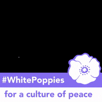 PeacePledgeUnion peace remembrance pacifist remembrance sunday GIF