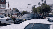 fbi fbifam GIF by CBS