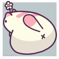 Cat Lol GIF by Castaways