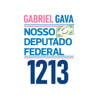 gabrielllgava gabriel politica deputado federal Sticker