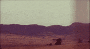desert GIF