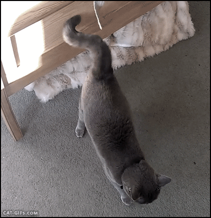 weird GIF