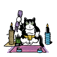 Theluckyneko funny cat voodoo tuxedo cat magic cat Sticker