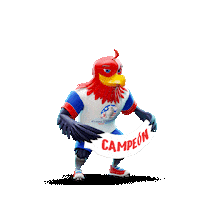 Capitan Sticker by Copa América