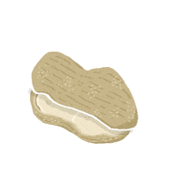 Peanut Kachin Sticker