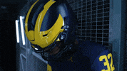 Go Blue Ncaa Football GIF by Michigan Athletics