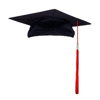 Graduation Day Sticker by Bocconi University