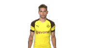 borussia dortmund thank you Sticker by Bundesliga